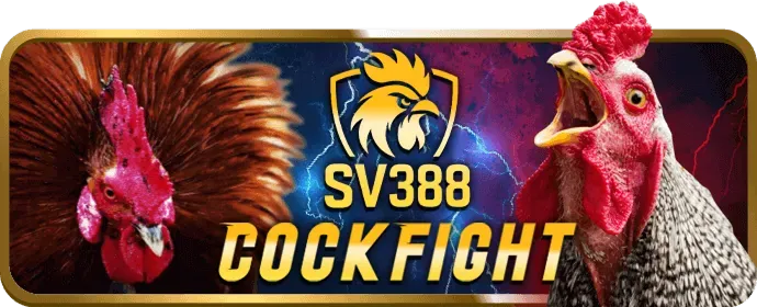 Nền tảng nn88win an toàn và uy tín
