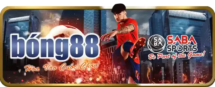 Dịch vụ chăm sóc khách hàng chuyên nghiệp của nn88win